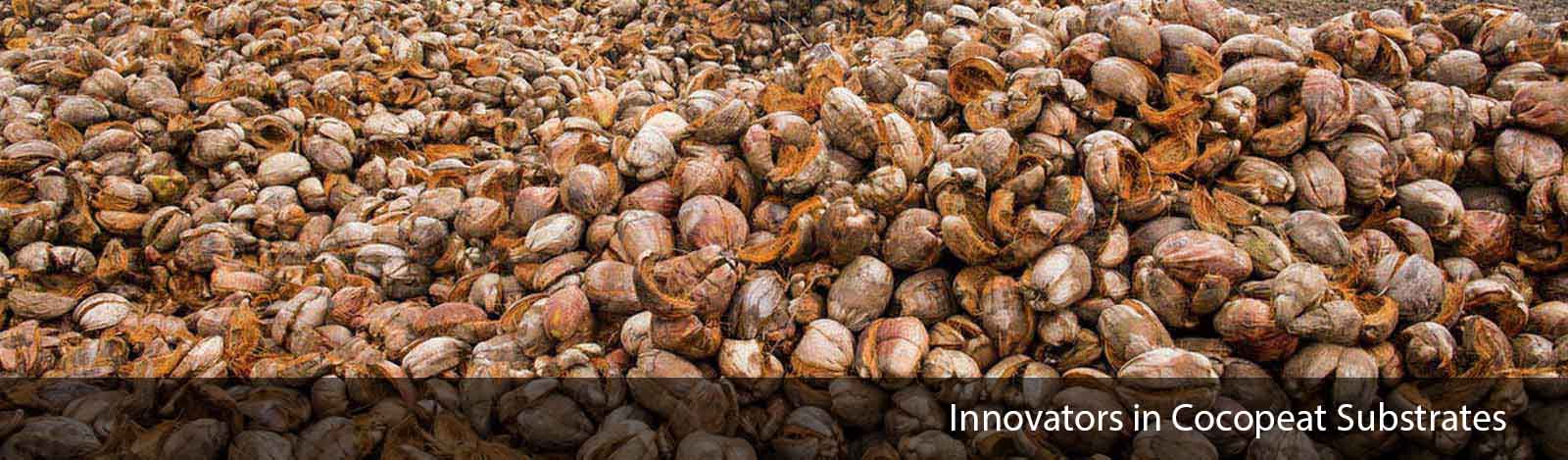 Cocogeat Processing