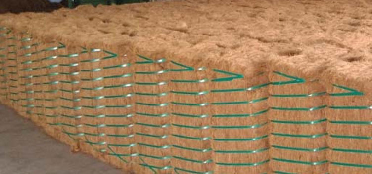 Coir Fibre Bale | Cocogreen Substrates